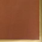 Бумага упаковочная глянцевая "Золотая полоса", кремовый, 70 х 100 см, 2 листа - Фото 3