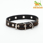 Ошейник кожаный однослойный с рифлеными люверсами, безразмерный, 40×1.5 см, ОШ 27-35 см, чёрный - Фото 2