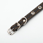 Ошейник кожаный однослойный с рифлеными люверсами, безразмерный, 40×1.5 см, ОШ 27-35 см, чёрный - Фото 5