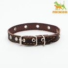 Ошейник кожаный однослойный с рифленными люверсами, безразмерный, 40 х 1,5 см, ОШ 27-35 см, корич700 - Фото 1