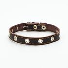 Ошейник кожаный однослойный с рифленными люверсами, безразмерный, 40 х 1,5 см, ОШ 27-35 см, корич700 - Фото 2