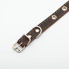 Ошейник кожаный однослойный с рифленными люверсами, безразмерный, 40 х 1,5 см, ОШ 27-35 см, корич700 - Фото 4