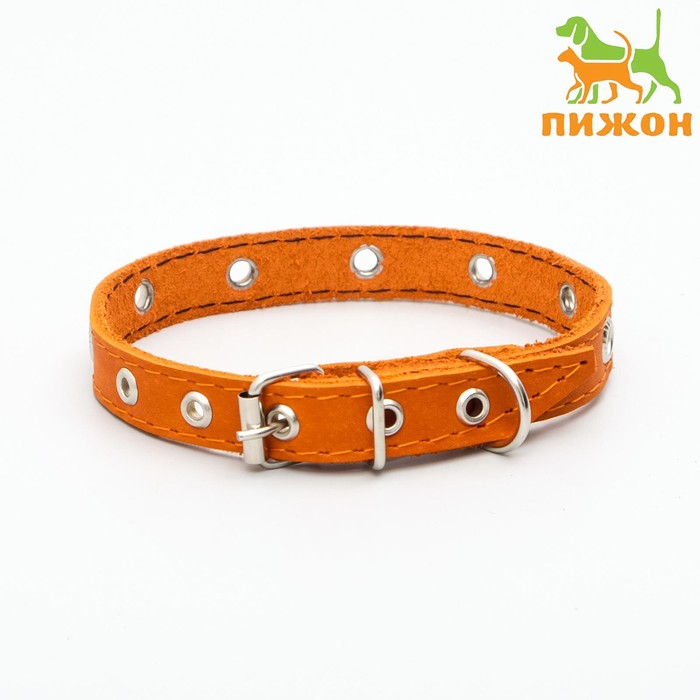 Ошейник кожаный однослойный с рифленными люверсами, безразмерный, 40 х 1,5 см, ОШ 27-35 см, рыжий 70 - Фото 1