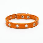 Ошейник кожаный однослойный с рифленными люверсами, безразмерный, 40 х 1,5 см, ОШ 27-35 см, рыжий 70 - Фото 2