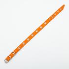 Ошейник кожаный однослойный с рифленными люверсами, безразмерный, 40 х 1,5 см, ОШ 27-35 см, рыжий 70 - Фото 3