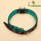 Ошейник кожаный усиленный капроном с полукольцом, 55×2.5 см, ОШ 27-53 см, чёрный - Фото 2