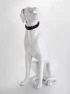 Ошейник кожаный усиленный капроном с полукольцом, 55×2.5 см, ОШ 27-53 см, чёрный - Фото 11