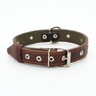 Ошейник комбинированный безразмерный, кожа/брезент, 60×3 см, ОШ 30-57 см, коричневый/зелёный - Фото 2