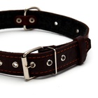 Ошейник кожаный тисненый на фетре, безразмерный, 64 х 3,5 см, ОШ 31-60 см, коричневый - Фото 2