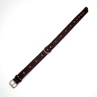 Ошейник кожаный тисненый на фетре, безразмерный, 64 х 3,5 см, ОШ 31-60 см, коричневый - Фото 4