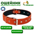 Ошейник тиснёный, 67×3.5 см, ОШ 31-60 см, на фетре, безразмерный, кожа, оранжевый - Фото 1