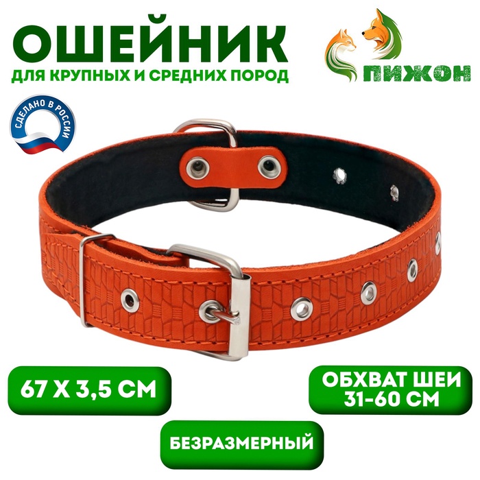 Ошейник тиснёный, 67×3.5 см, ОШ 31-60 см, на фетре, безразмерный, кожа, оранжевый - Фото 1