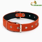 Ошейник тиснёный, 67×3.5 см, ОШ 31-60 см, на фетре, безразмерный, кожа, оранжевый - Фото 2