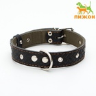 Ошейник комбинированный безразмерный, кожа/брезент, 65×3.5 см, ОШ 31-61 см, чёрный - Фото 2