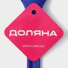 Набор кухонных принадлежностей Доляна «Глори», 3 шт., синий - Фото 5