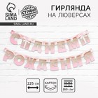 Гирлянда на люверсах «С Днем Рождения», длина 225 см - Фото 1
