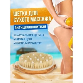 

Щётка массажная для тела Доляна, с ремешком, 10×10×3,4 см, натуральная щетина