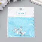 Декор для творчества металл "Самолёт" серебро, стразы 1,7х1,7 см (комплект 5 шт) - фото 21276223