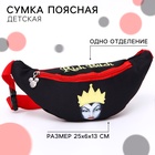 Сумка поясная, 25×6×13 см, Злодейки - Фото 1