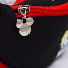 Сумка поясная, 25×6×13 см, Злодейки - Фото 6