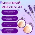 Масло для кутикулы в карандаше «Лаванда» - Фото 2