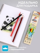 Карандаши цветные «Луч», 6 цветов, заточенные, трёхгранные, деревянные - Фото 2