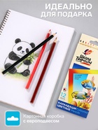 Карандаши цветные 12 цветов «Школа Творчества», трёхгранные - Фото 2