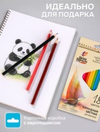 Карандаши цветные 18 цветов «Школа Творчества», трёхгранные - Фото 2