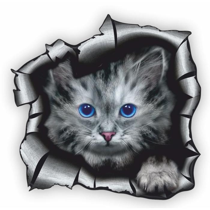 Наклейка "Разлом Кошка", 15 х 15 см - Фото 1