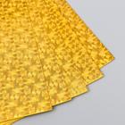 Фоамиран голограмма "Золото" 1.8 мм набор 5 листов 20х30 см - фото 6424027
