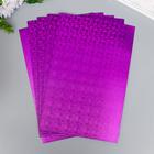 Фоамиран голограмма "Фиолетовый" 1.8 мм набор 5 листов 20х30 см - фото 6424041