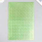 Фоамиран голограмма «Зелёный салат», 1.8 мм, набор 5 листов, 20×30 см 6248908