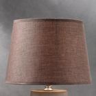 Лампа настольная RISALUX 16625/1, E14, 40 Вт, серая, 22×22×36 см 6300860