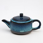 Набор для чайной церемонии ДЖЕКИЧАЙ «Ланьчжоу», 10 предметов, 4 персоны, пиалы 45 мл, чайник 180 мл, керамика, голубой - Фото 5