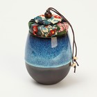 Набор для чайной церемонии ДЖЕКИЧАЙ «Ланьчжоу», 10 предметов, 4 персоны, пиалы 45 мл, чайник 180 мл, керамика, голубой - Фото 3