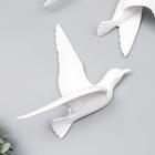 Сувенир полистоун настенный декор "Чайка" МИКС белый 6629028