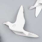 Сувенир полистоун настенный декор "Чайка" МИКС белый 6629028