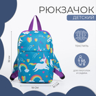 Рюкзак детский на молнии, 2 наружных кармана, цвет голубой - фото 12001920
