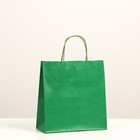 Пакет крафт, зеленый вельвет, с кручеными ручками, 25 х 12 х 27 см - Фото 3