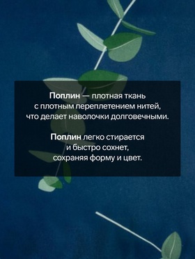 Комплект наволочек «Этель. Эвкалипт (вид 2)», 50×70 см, 2 шт., поплин, хлопок 100%