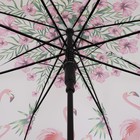 Зонт - трость полуавтоматический «Tropical», 8 спиц, R = 50 см, цвет МИКС - Фото 3