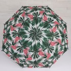 Зонт - трость полуавтоматический «Tropical», 8 спиц, R = 50 см, цвет МИКС - Фото 8