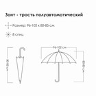 Зонт - трость полуавтоматический «Города», 8 спиц, R = 49 см, рисунок МИКС - Фото 11