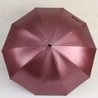 Зонт - трость полуавтоматический «Металлик», 10 спиц, R = 50 см, цвет МИКС - Фото 2