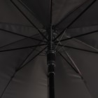Зонт - трость полуавтоматический «Металлик», 10 спиц, R = 50 см, цвет МИКС - Фото 3