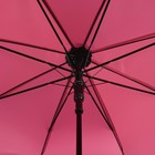 Зонт - трость полуавтоматический «Хамелеон», 8 спиц, R = 50 см, цвет МИКС - Фото 3