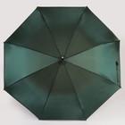 Зонт - трость полуавтоматический «Хамелеон», 8 спиц, R = 50 см, цвет МИКС - Фото 8