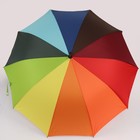 Зонт - трость полуавтоматический «Смайл», 10 спиц, R = 57 см, разноцветный - Фото 2
