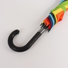 Зонт - трость полуавтоматический «Смайл», 10 спиц, R = 57 см, разноцветный - Фото 4