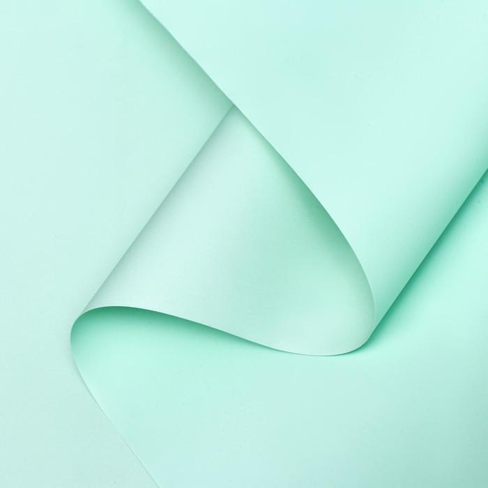 Пленка для декора и флористики, матовая, 65 микрон, пастельный зелёный, 57 см×10 м - Фото 1